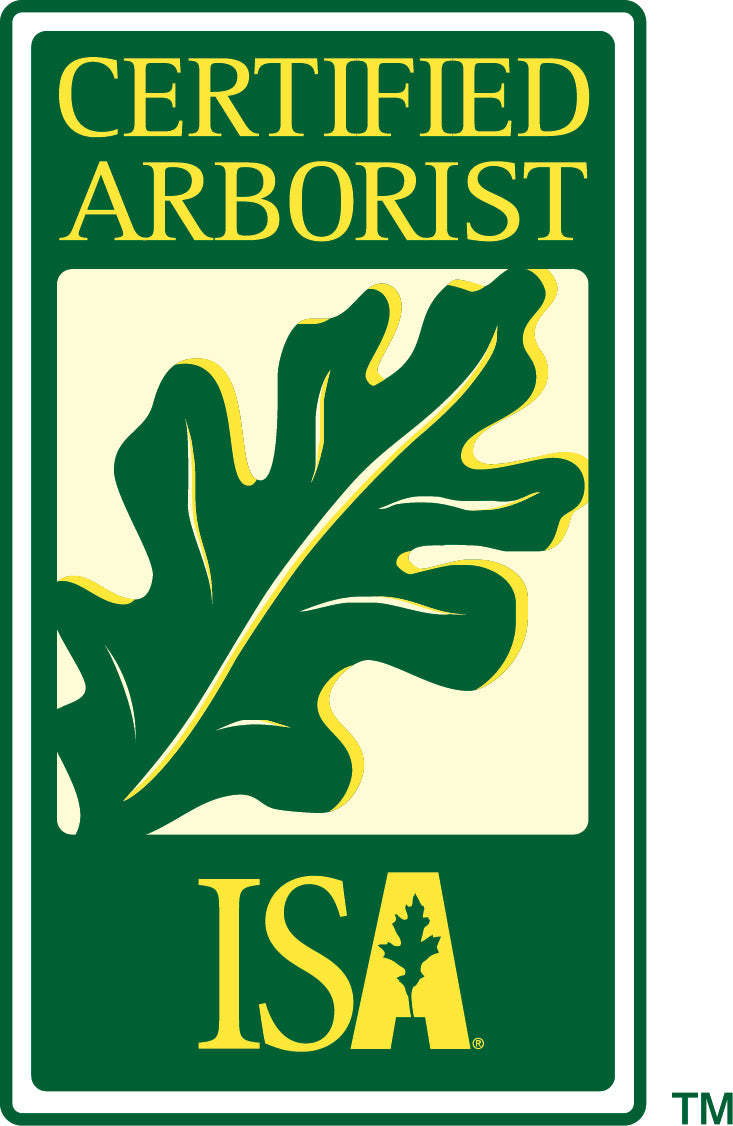 Certified Arborist Miami Broward Coral Gables Pinecrest Miami Beach Southwest Ranches Ft Lauderdale Dania Beach Miami Springs 